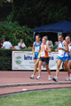 stafpat_6527