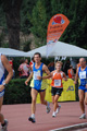 stafpat_6536