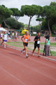 stafpat_6788