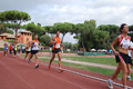 stafpat_6981