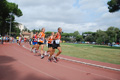 stafpat_7115