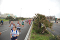 pino_ro__0371