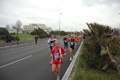 pino_ro__0374