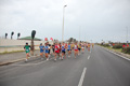 pino_ro__0436