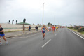 pino_ro__0494