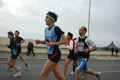 pino_ro__0718