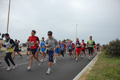 pino_ro__0919