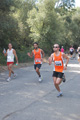 ostiaambiente_2870
