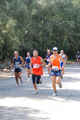 ostiaambiente_2898