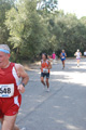 ostiaambiente_2983
