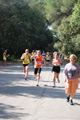 ostiaambiente_3051