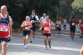 ostiaambiente_3172