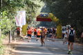 ostiaambiente_3229
