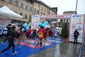 firenze2010+496