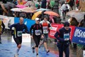 firenze2010+750