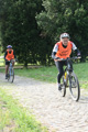 bernardini_7202