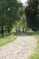 bernardini_7224