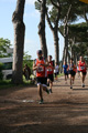 bernardini_7247