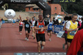 dominici_1633