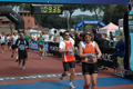 dominici_1728