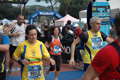 dominici_1736