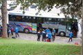 pino_ro__0016