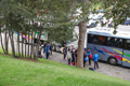 pino_ro__0017