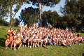 pino_ro__0047