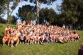 pino_ro__0049