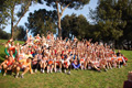 pino_ro__0052