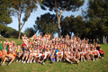 pino_ro__0055