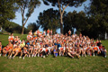 pino_ro__0063
