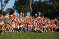 pino_ro__0072