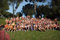 pino_ro__0073