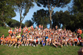 pino_ro__0074