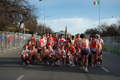 pino_ro__0078