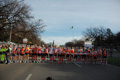 pino_ro__0087