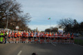 pino_ro__0088