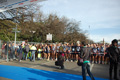 pino_ro__0096