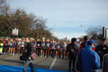 pino_ro__0097