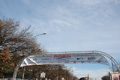 pino_ro__0100