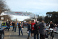 pino_ro__0101