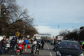 pino_ro__0105