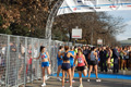 pino_ro__0111