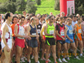 salvatori_caffarella_024