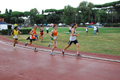 stafchini_0202