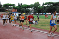 stafchini_0203