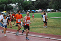 stafchini_0204
