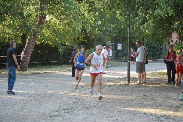 Solstizio d'estate (22/06/2011) 0041