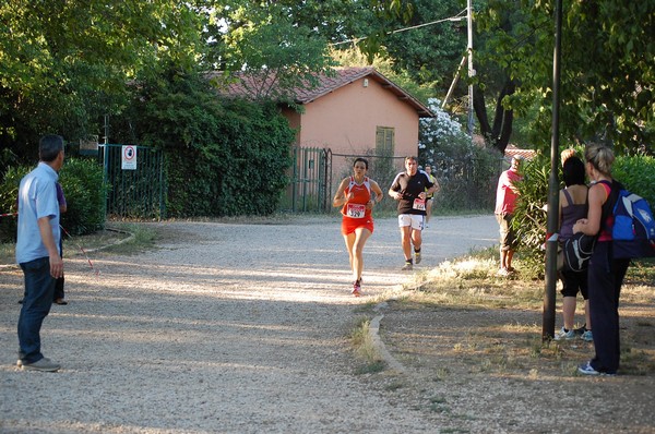 Solstizio d'estate (22/06/2011) 0078